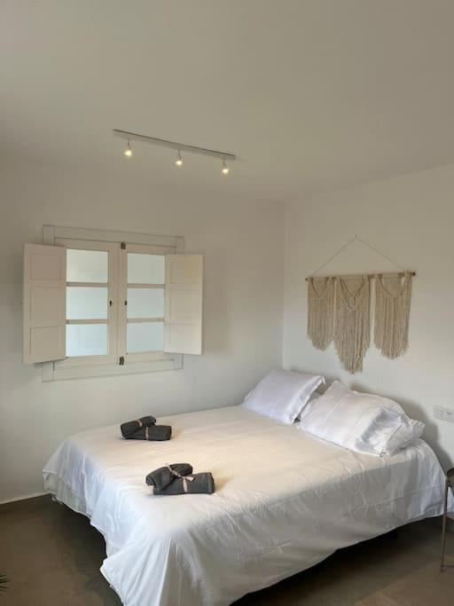 Casa Plaza 2 Leilighet Vega de Rio de Palmas Eksteriør bilde