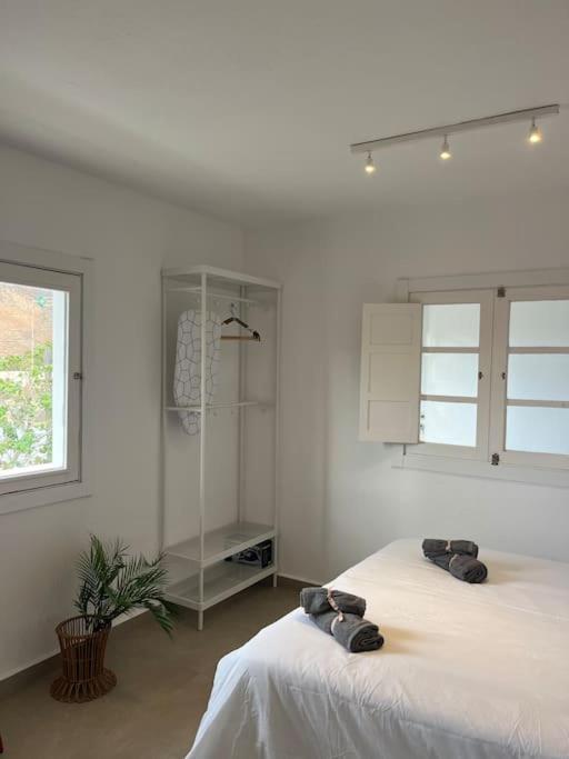Casa Plaza 2 Leilighet Vega de Rio de Palmas Eksteriør bilde